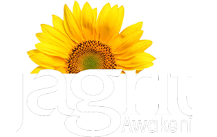 Jagriti Awakening